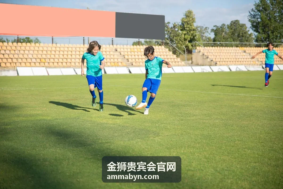 金狮贵宾会国际会务方案